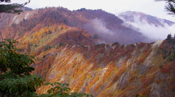 長谷川～木地夜鷹山～百戸沼