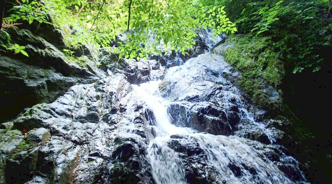 葛葉川本谷
