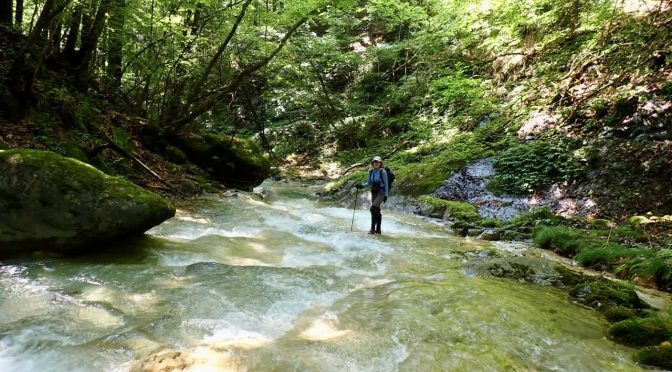 吾妻線で行く山里の沢歩き